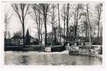 B3165 :   GROBBENDONK : De Watermolen En Omgeving - Grobbendonk