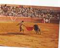 Zs3951 Animals Animaux Corrida De Toros Bullfight  Used Perfect Shape - Bull