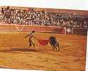 Zs3951 Animals Animaux Corrida De Toros Bullfight  Used Perfect Shape - Taureaux