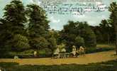 WANDSWORTH COMMON  -  THE THREE ISLAND POND -  1905  -   CARTE ANIMEE -( Usure Angles ) - Londen - Buitenwijken