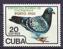 Cuba 1985 Birds Oiseaux  Aves Doves Porto World Pigeon Breeding Exhibition MNH - Palomas, Tórtolas