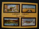CPSM 47 Laroque Timbault-Peintures Huiles De Mr Séré Roger - Laroque Timbault