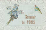 PONS : Souvenir De..... - Pons