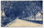 Q20 - VIDAUBAN - Avenue D'ASTRAS (1927) - Vidauban