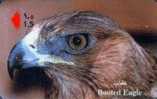 # OMAN A15 Booted Eagle 1,5 Gpt -oiseaux,birds,awk,aigle-  Tres Bon Etat - Oman