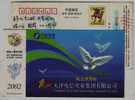 Columba Pigeon & Dove,China 2002 Tianjin Telecom Industry Group Advertising Postal Stationery Card - Palomas, Tórtolas