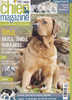 Mon Chien Magazine 22 Novembre 2010 Tosa Akita Shiba Hokkaïdo Ces Chiens Du Pays Du Soleil Levant - Dieren