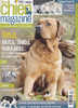 Mon Chien Magazine 22 Novembre 2010 Tosa Akita Shiba Hokkaïdo Ces Chiens Du Pays Du Soleil Levant - Animali