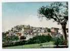 ROTONDA, PANORAMA, VG 1961   **** - Potenza