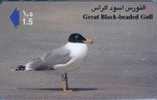 # OMAN A33 Great Black-headed Gull 1,5 Gpt -oiseaux,birds-  Tres Bon Etat - Oman