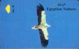 # OMAN A17 Egyptian Vulture 3 Gpt -oiseaux,birds,awk,aigle-  Tres Bon Etat - Oman