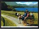 RB 621 -  1969 Postcard Traditional Jaunting Car Touring Lower Lake Killarney Kerry Ireland - 4p Rate To Kirby Leicester - Kerry