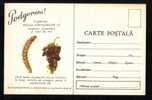 Romania 1964 Grapes,POLYCHROSIS BOTRANA,1X Rare Stationery - Vinos Y Alcoholes