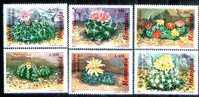 Romania 1987 Mint 6 Stamps  With Cactusses. - Cactusses