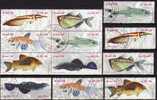 WWF Gestempelt Naturschutz Fische 1988 Brasilien 2276/1,6xZD+6-Block O 16€ Se-tenant Beil Bart Neon Kärpfling Glanz-Wels - Collections, Lots & Séries