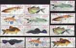WWF Gestempelt Naturschutz Fische 1988 Brasilien 2276/1,6xZD+6-Block O 16€ Se-tenant Beil Bart Neon Kärpfling Glanz-Wels - Lots & Serien