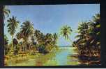 RB 626 -  Jamaica Postcard White River St Ann  - British West Indies - Giamaica