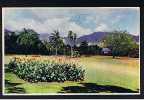 RB 626 -  Jamaica Postcard Hope Gardens St Andrew  - British West Indies - Jamaica