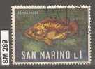 SAN MARINO 1966, Fauna Marina, L. 1, Usato - Oblitérés