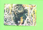 JAPAN - Orange Picture Rail Ticket/Bird As Scan - Mundo