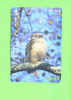 JAPAN - Orange Picture Rail Ticket/Bird (Owl)As Scan - World