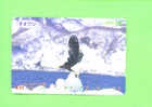 JAPAN - Orange Picture Rail Ticket/Bird  As Scan - Monde