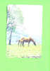 JAPAN - Orange Picture Rail Ticket/Animal/Horse  As Scan - Mundo