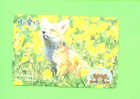 JAPAN - Orange Picture Rail Ticket/Animal/Fox  As Scan - Welt