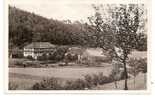 EISENBERG  - * HOTEL & PENSION  WALDHAUS AMTSSCHREIBERSMÜHLE  IM MÜHLTAL * -  Verlag : Albert KREBS Aus Leipzig   N° 246 - Eisenberg