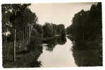 {50944} 77 Seine Et Marne Bagneaux Sur Loing , Vue Sur Le Loing - Bagneaux Sur Loing