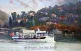 Australia Tasmania Tamar Valley - Lady Launceston Zaadstra Large PC 22x14cm Unused - Other & Unclassified