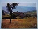 R236.CAUSSE MEJEAN-Cassagnes Au Loin Le Cirque De  Madasse Sur Le Causse Noir-maison En Pierre-éditions Des Septfonts - Languedoc-Roussillon