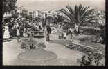 66....ARGELES....LE GOLF MINIATURE.....CPSM....  ECRITE.. ‹(•¿•)› - Argeles Sur Mer