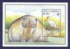 Gambia 1991 Birds Oiseaux  Aves Fauna Spoonbill Hippopotamus Sheet  MNH - Storchenvögel