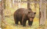 POSTAL DE FINLANDIA DE UN OSO PARDO  (BEAR) - Bears