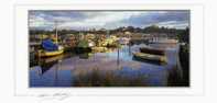 Australia Tasmania Strahan Harbour From Risby Cove - Chris Harding Long PC 21.5x10cm Unused - Sonstige & Ohne Zuordnung