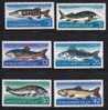 Bulgaria Pesci Serie Completa Usata - Used Stamps
