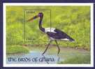 Ghana  1991 Birds  Oiseaux  Aves Stork Souvenir Sheet  MNH - Storchenvögel