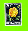 Timbre Oblitéré Used Mint Stamp Selo Carimbado Rosa Radiman 20 Cm Nowa BULGARIE BULGARIA 1985 - Usati