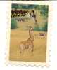 CPM GIRAFE Forme Timbre Cou Cou - Giraffe