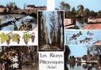 LES RICEYS PITTORESQUES - SUPERBE CARTE PHOTO MULRI-VUES, EN COULEUR,  TOP !!! - Les Riceys