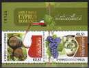 Cyprus - Romania 2010 / Joint Issue / Viticulture / Block - Wines & Alcohols