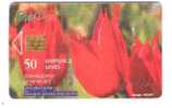 Bulgarien - Bulgaria - Bulfon  - 06/98 - Flower Tulipa - 270.000ex - Bulgarije