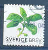 2009 Flora Basilicum - Used Stamps