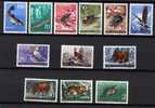 U-Rb   JUGOSLAVIA FAUNA LUX NEVER HINGED - Unused Stamps