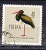 Oiseau - Pologne Oblitéré - Storks & Long-legged Wading Birds