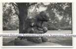 ANTWERPEN-PARK MIDDELHEIM-ORIGINELE FOTOKAART-BEELDHOUWKUNST-TENTOONSTELLING 07-09/1950 - Antwerpen