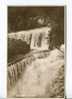 The Falls Cheddar Publ. A.L. Robertson, The Cliffs, Cheddar - Cheddar