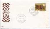 Iceland FDC 14-6-1972  Centenary Of Muncipal Taws With Cachet - FDC