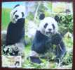 Maxi Cards Taiwan 2010 Giant Panda Bear ATM Frama Stamps-- Blue Imprint- Bamboo Bears WWF - Maximum Cards